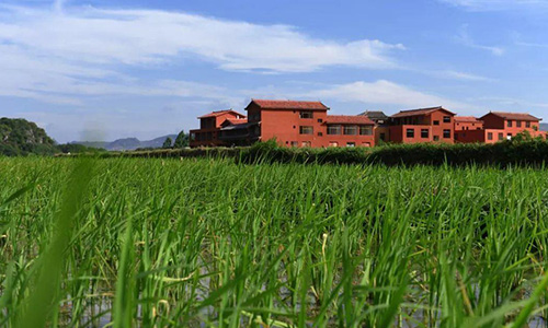 宅基地轉讓條件